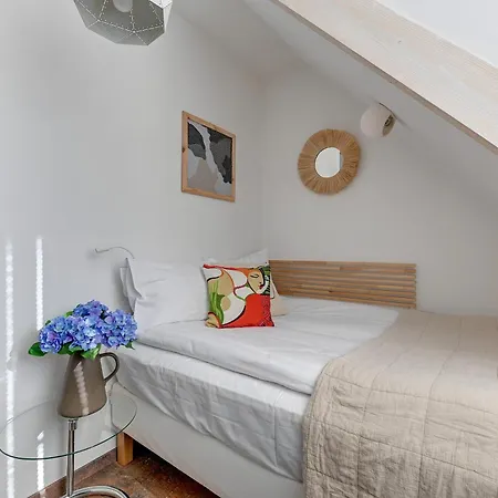 Lion Apartments- Old Town Loft